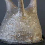 P.グラキリス 2122