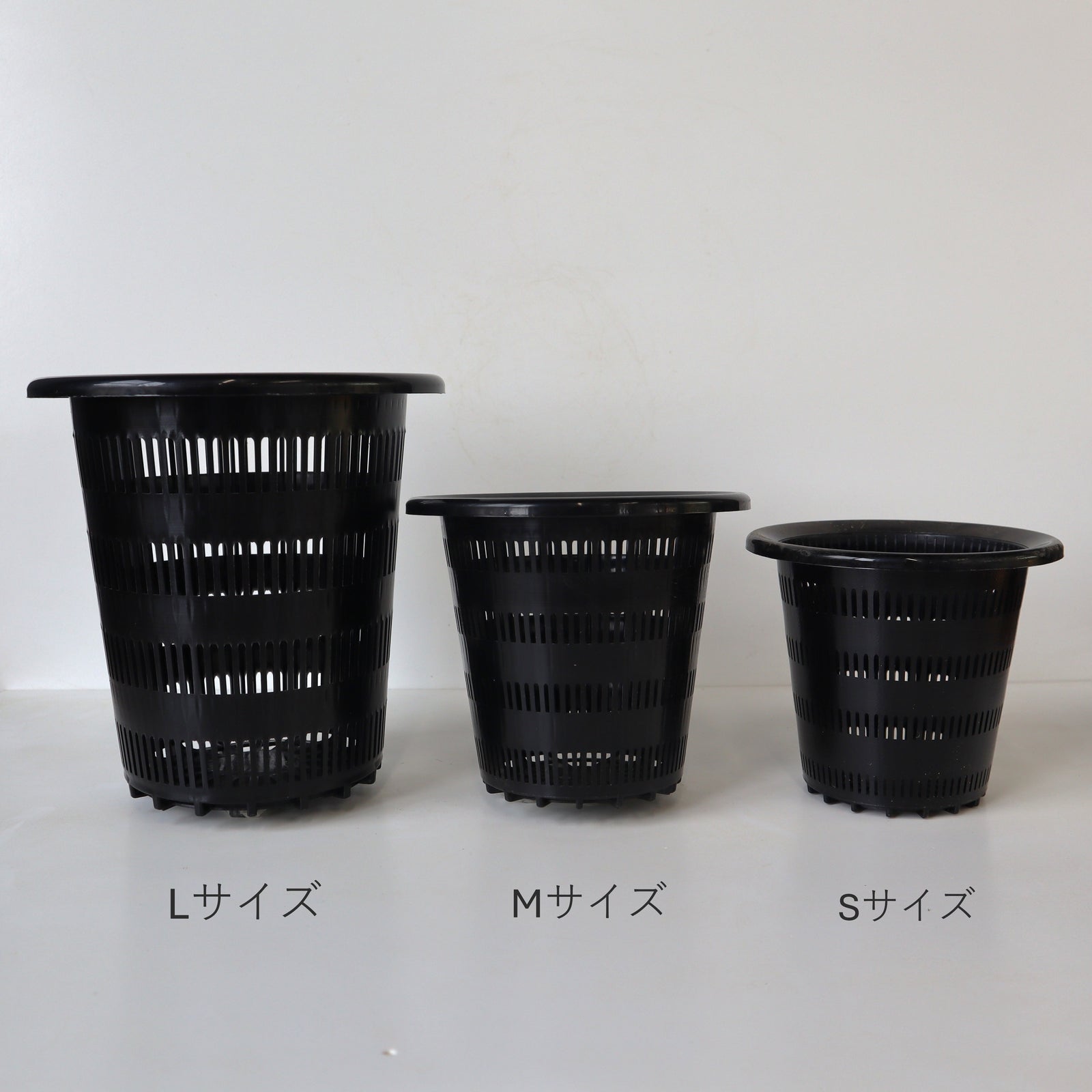 IMG_4455_7c9bf7ca-7c2a-4891-