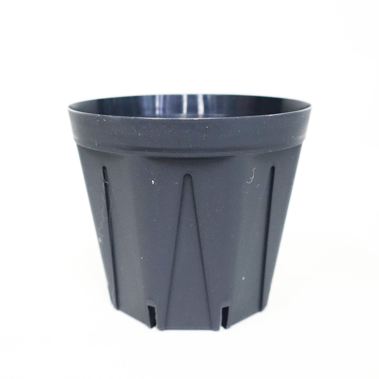 ブラックスリット鉢 シリーズ – TaiShoDo ONLINE SHOP