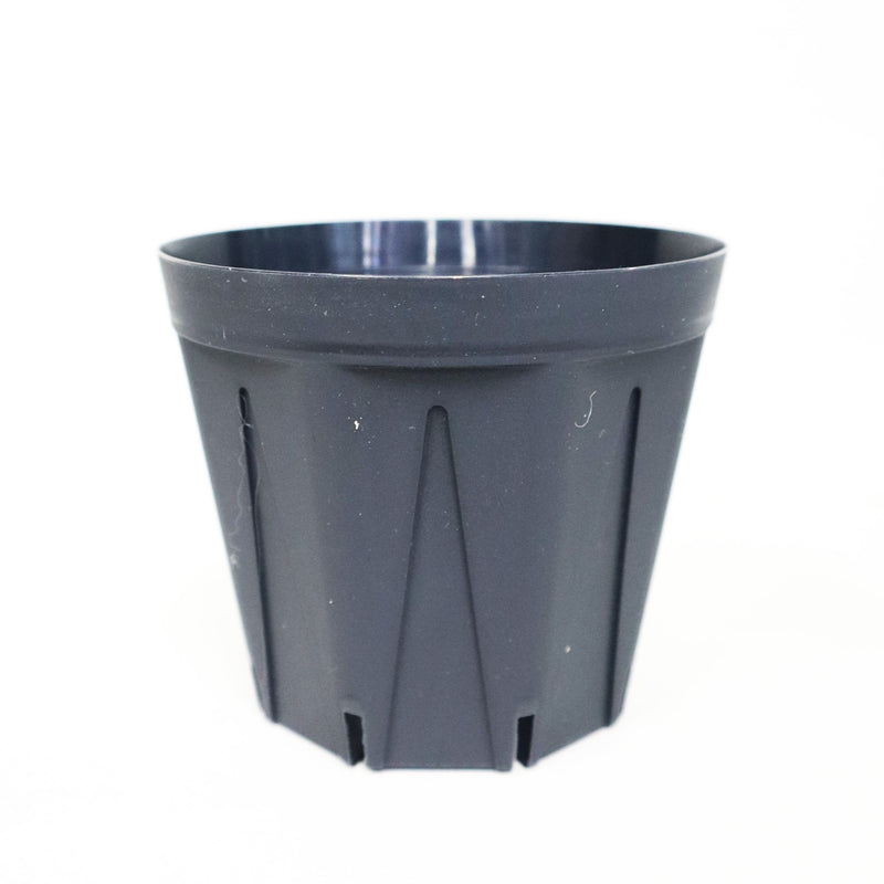 ブラックスリット鉢 シリーズ – TaiShoDo ONLINE SHOP