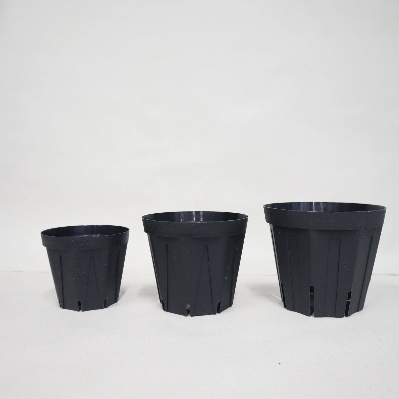 ブラックスリット鉢 シリーズ – TaiShoDo ONLINE SHOP