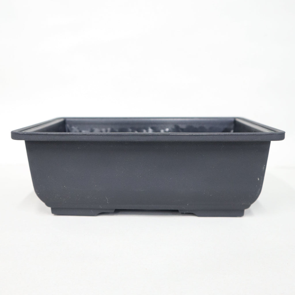 IMG_5289_1e2e4406-ac0d-489e-