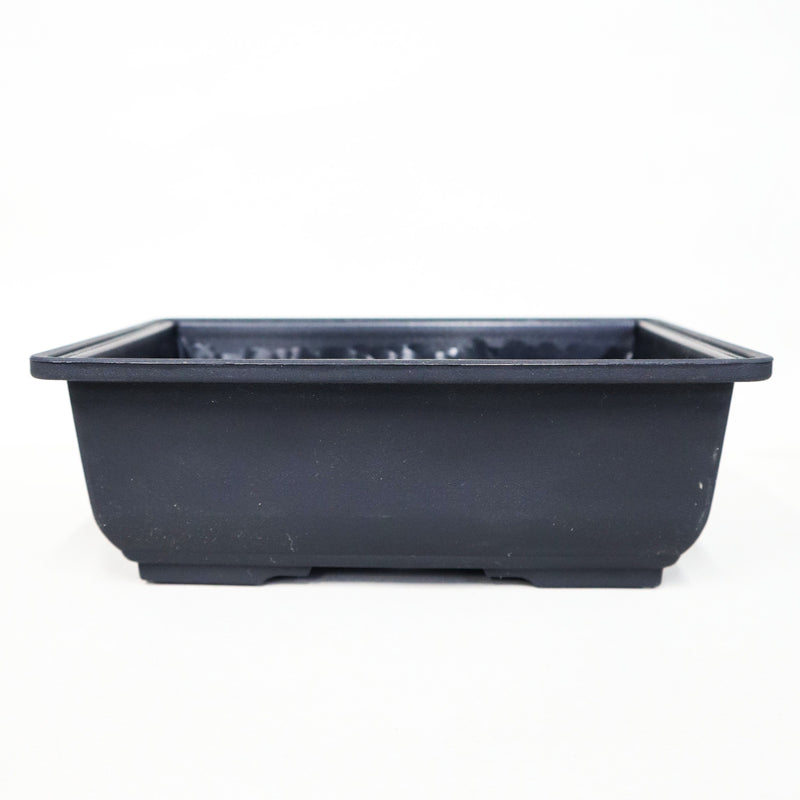 盆栽鉢　115　大判 長角盆栽鉢 Aシリーズ – TaiShoDo ONLINE SHOP