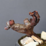 【宮島將實陶器鉢】P.ミラビレ 375