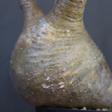 P.グラキリス 792