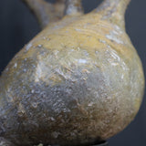 P.グラキリス 792