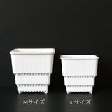 【すごい根】メッシュ鉢ショート 白