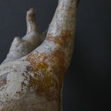 P.イノピナツム 10