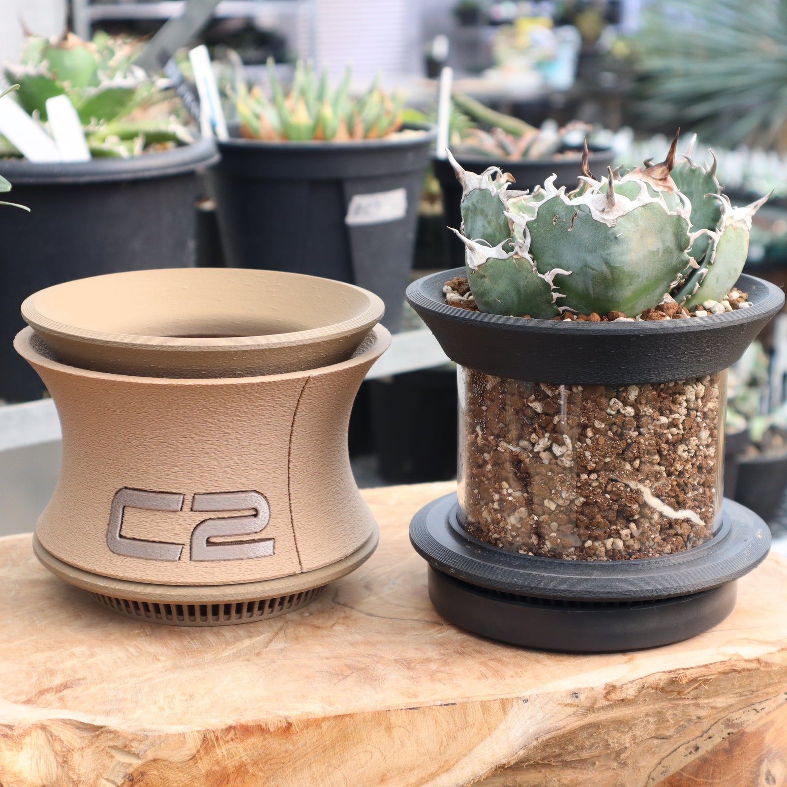 ヨi Design】C2 – TaiShoDo ONLINE SHOP