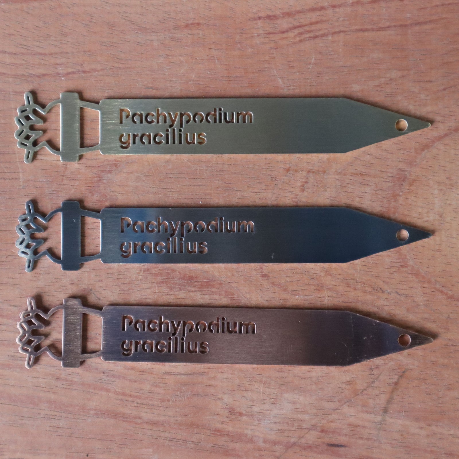 5枚セット　アガベ型プランツタグ Satorin Lab Collection プランツタグ NEW VERSION – TaiShoDo ONLINE SHOP
