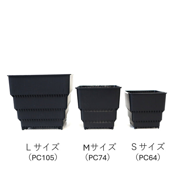 【すごい根】メッシュ鉢ショート 黒