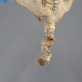 【ベアルート】S.ムルチフィズム 08