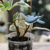 【Adonis】ガーデンピック ジンベイザメ