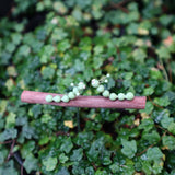 【Adonis】ガーデンピック ペアいも虫