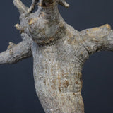 【ベアルート】C.ドレイクブロックマニー 5