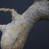 【ベアルート】C.ドレイクブロックマニー 6