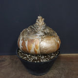 B.ハエマンソイデス 10