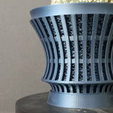 【八八工廠】アストロフィツム スーパー兜丸（実生）　