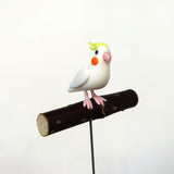 【Adonis】ガーデンピック オカメインコ