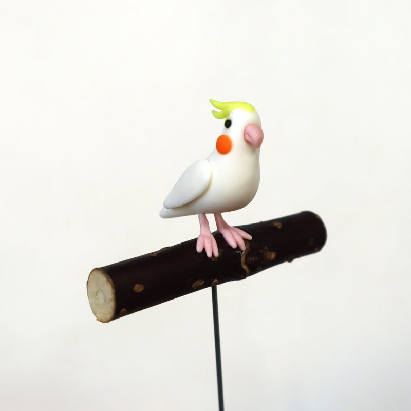 【Adonis】ガーデンピック オカメインコ