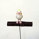 【Adonis】ガーデンピック オカメインコ