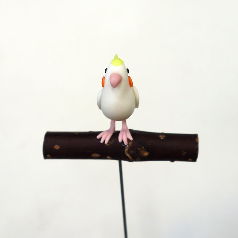 【Adonis】ガーデンピック オカメインコ