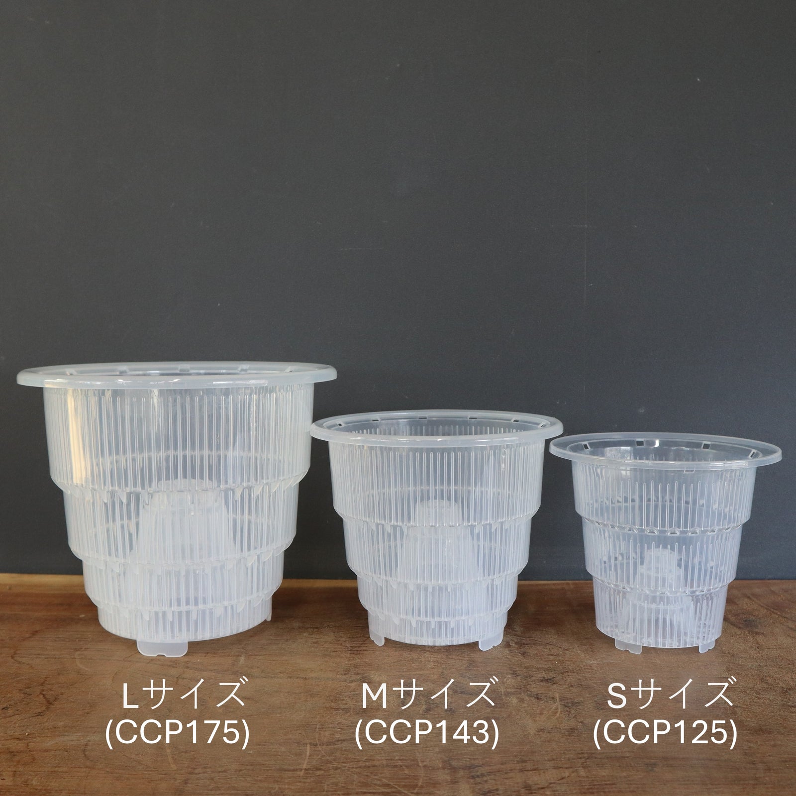 IMG_9079_8dcfd06c-9bb0-413c-