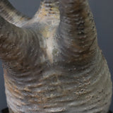 P.グラキリス 1471