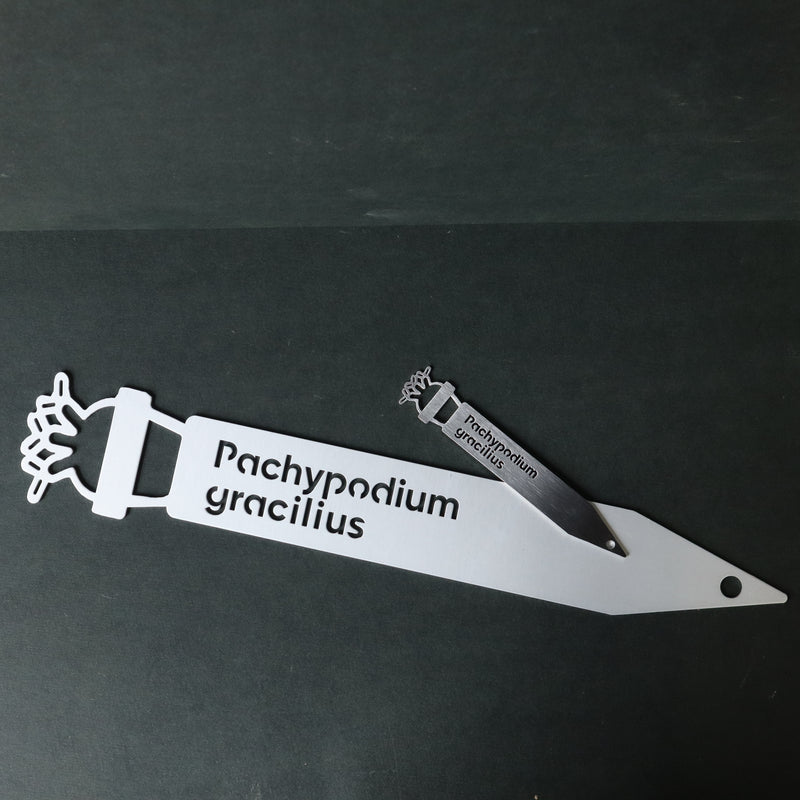 プランツタグ（ビッグサイズ）