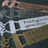 プランツタグ（ビッグサイズ）