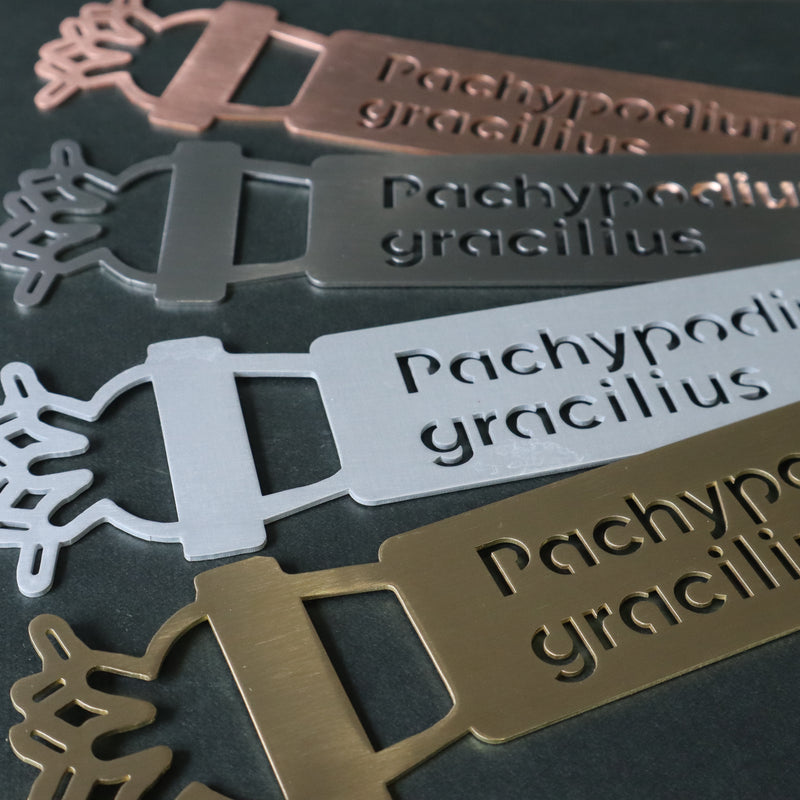 プランツタグ（ビッグサイズ）