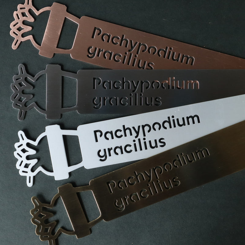 プランツタグ（ビッグサイズ）