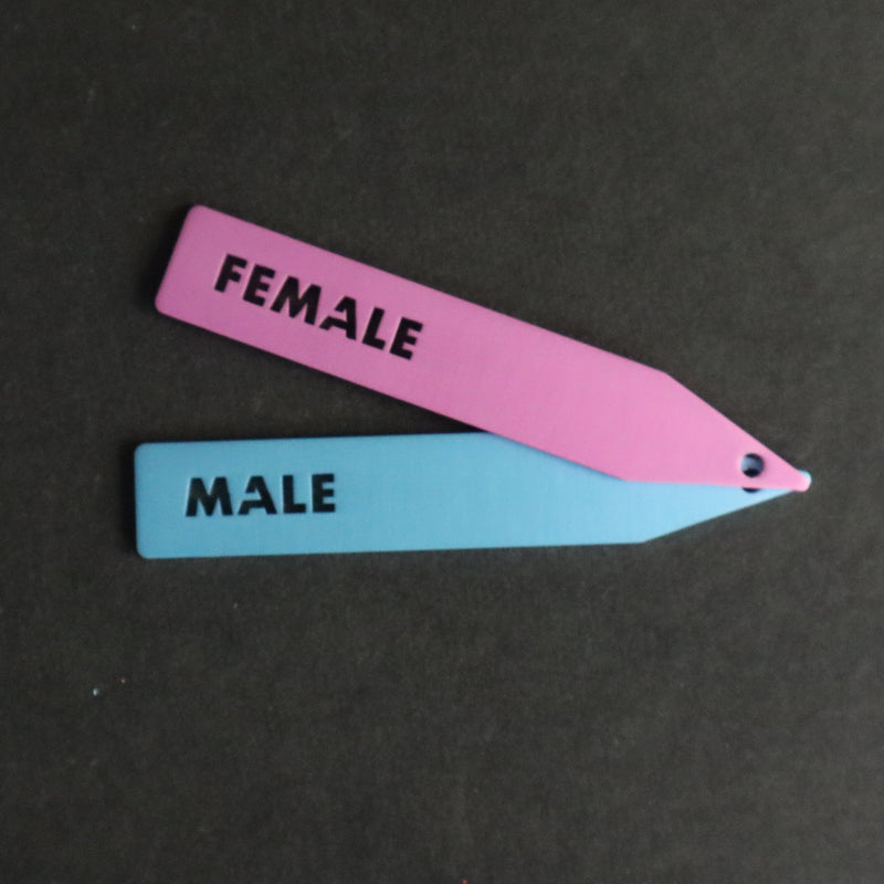 プランツタグ　（識別・管理用）