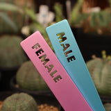 プランツタグ　（識別・管理用）