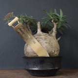 プランツタグ（ビッグサイズ）