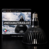 【BARREL】NEO AMATERAS 20W