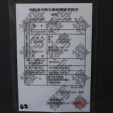 エンセファラルトス ホリダス 62
