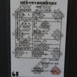 エンセファラルトス ホリダス 65