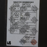 エンセファラルトス ホリダス 68