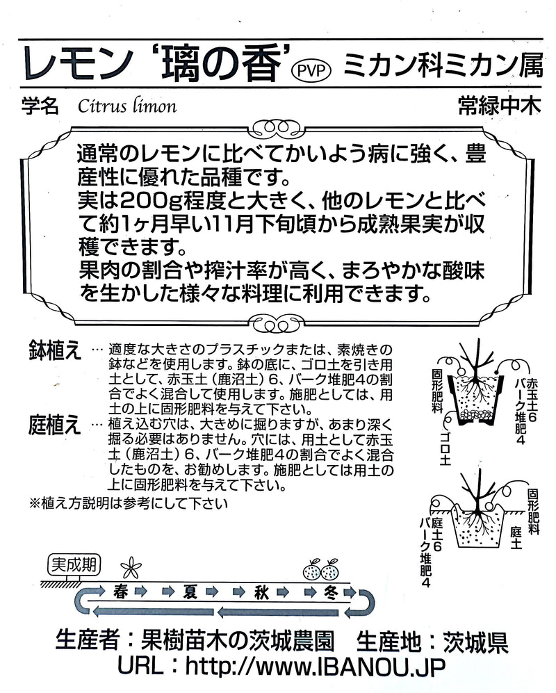 柑橘 レモン ’璃の香’