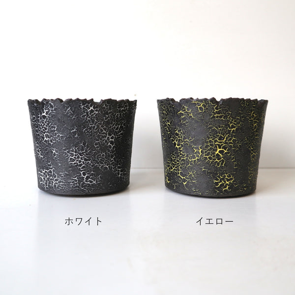 雷土 – TaiShoDo ONLINE SHOP