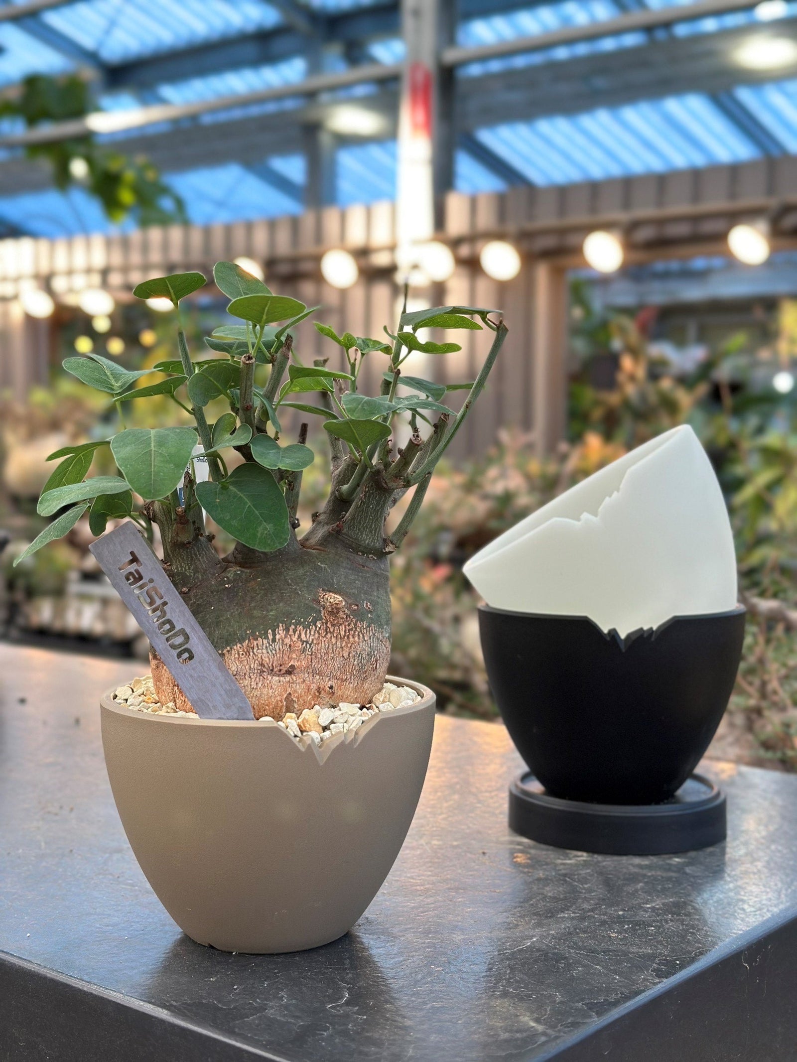 HAKKEI POT シリーズ – TaiShoDo ONLINE SHOP HAKKEI POT シリーズ – TaiShoDo ONLINE SHOP